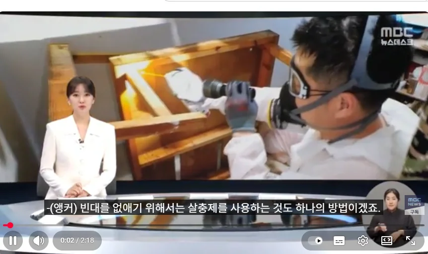 MBC 뉴스데스크 출연